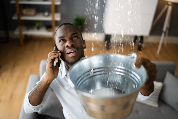Best Water damage restoration specialists  in Columbia, PA