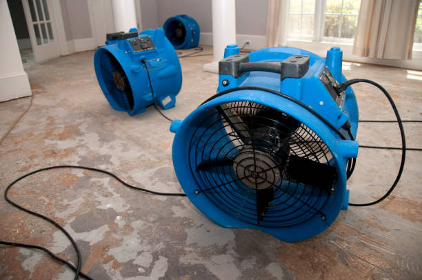 Best Water damage cleanup near me  in Columbia, PA