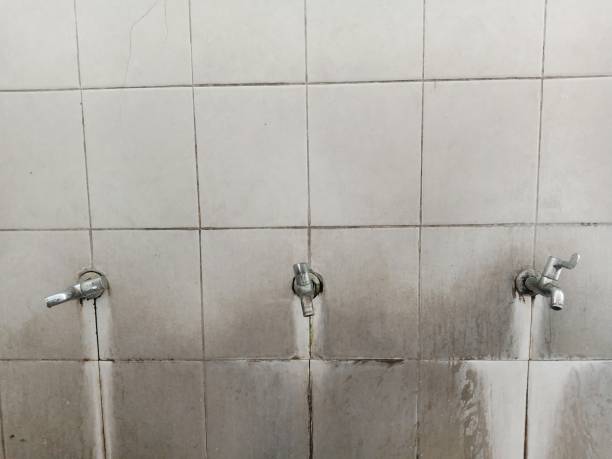 Best Water damage restoration near me  in Columbia, PA