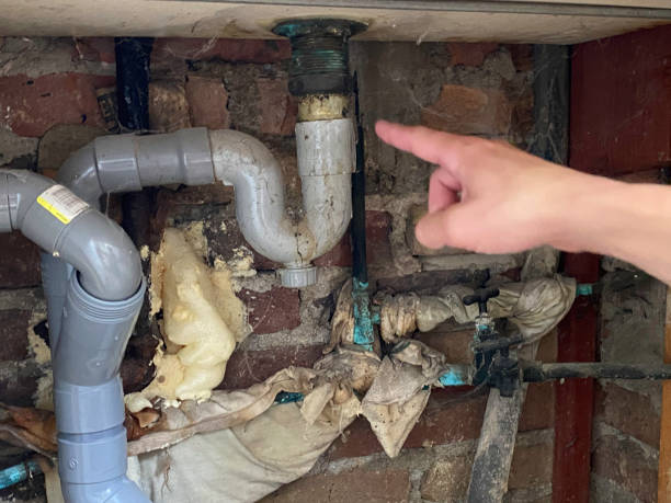 Best Local water damage restoration  in Columbia, PA