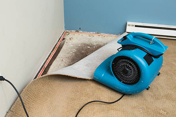 Best Water damage cleanup near me  in Columbia, PA